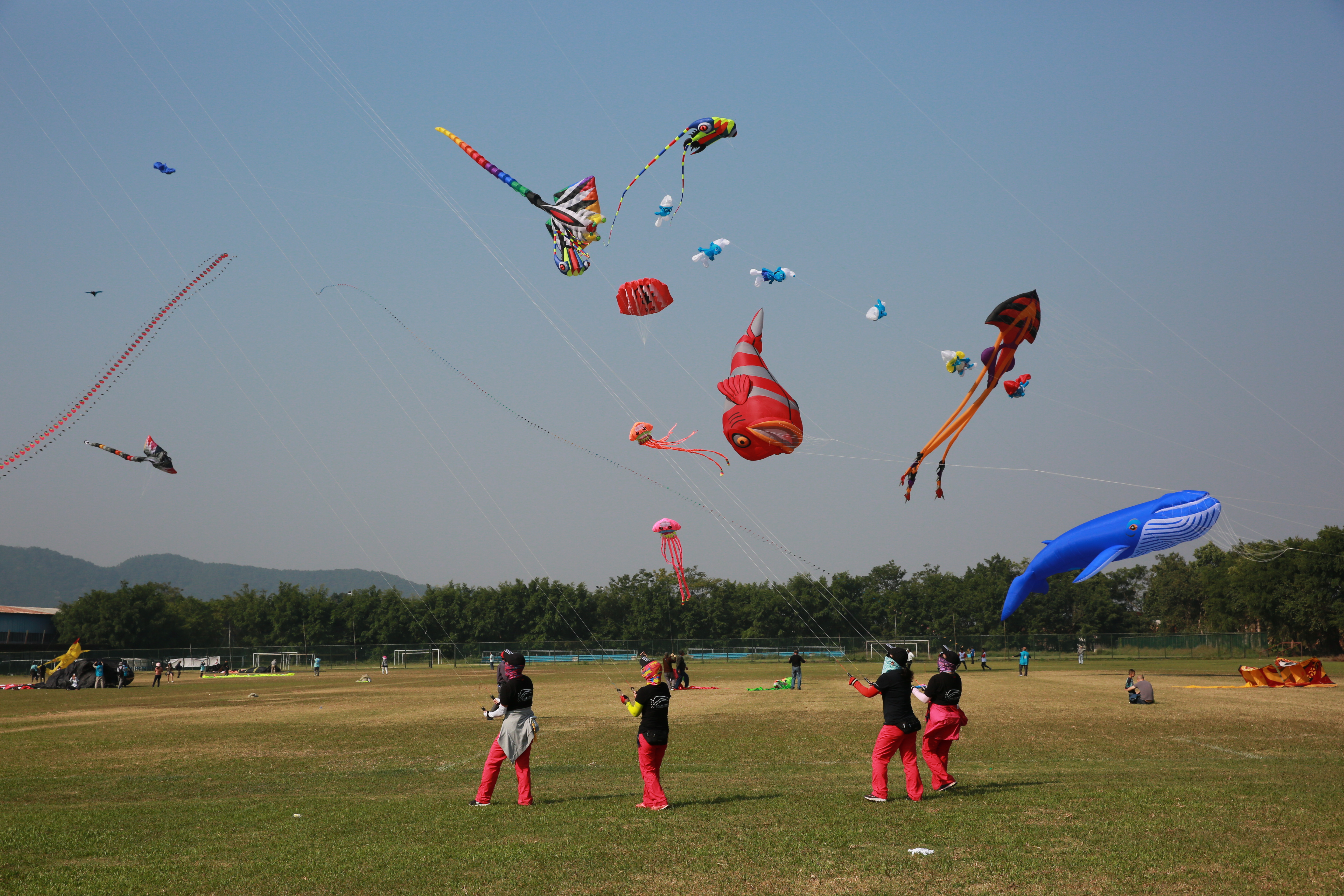 精彩梧州 放飛夢想