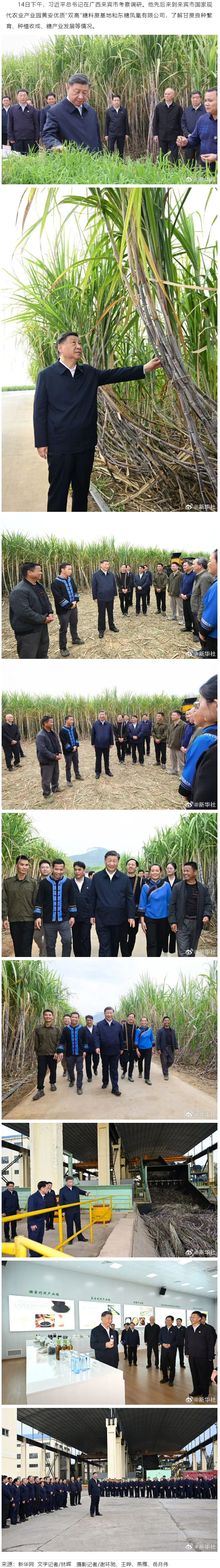 習(xí)近平在廣西來(lái)賓市考察調(diào)研.png