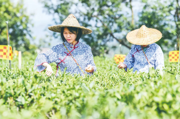 國家批復(fù)同意，梧州籌建！