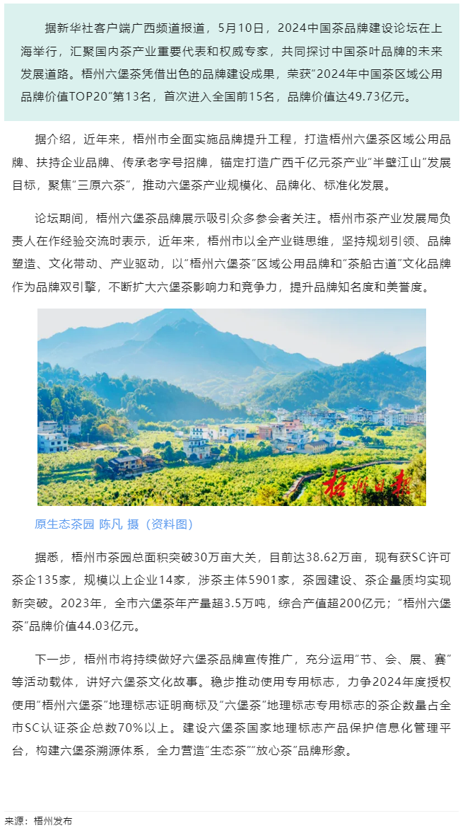 排名全國第13名！&ldquo;梧州六堡茶&rdquo;品牌價值實現(xiàn)新突破.png