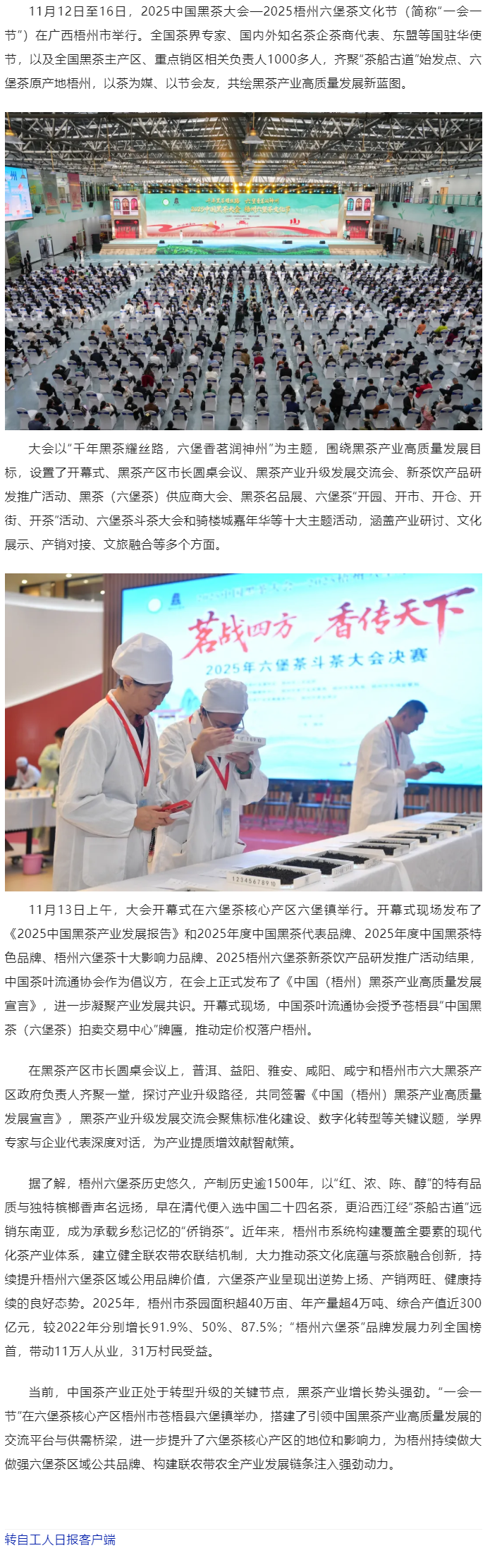 千年黑茶耀絲路 六堡香茗待君來｜2025中國黑茶大會(huì)&mdash;2025梧州六堡文化節(jié)在廣西梧州舉辦.png