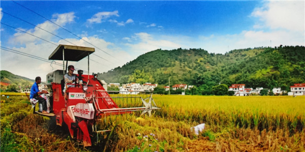 勤勞致富迎豐年