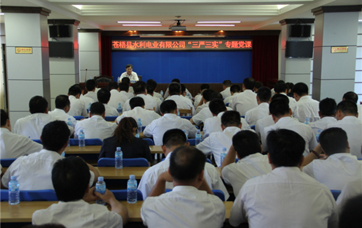蒼梧縣水利電業(yè)有限公司開(kāi)展 “三嚴(yán)三實(shí)”專題教育黨課